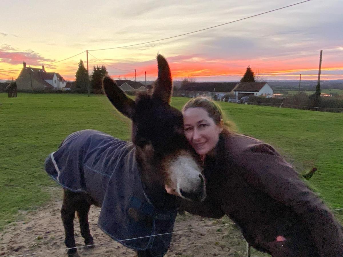 מלקשאם Rew Farm Country & Equestrian Accommodation - Sunrise Lodge מראה חיצוני תמונה